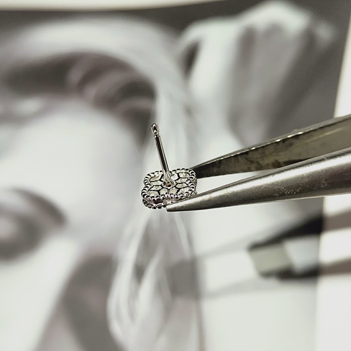 9423a3946897084da114799576a6c253_1771394835_0943.jpg 9423a3946897084da114799576a6c253_1771394835_0943.jpg