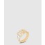 디올 Dio(r)evolution 반지 R1196